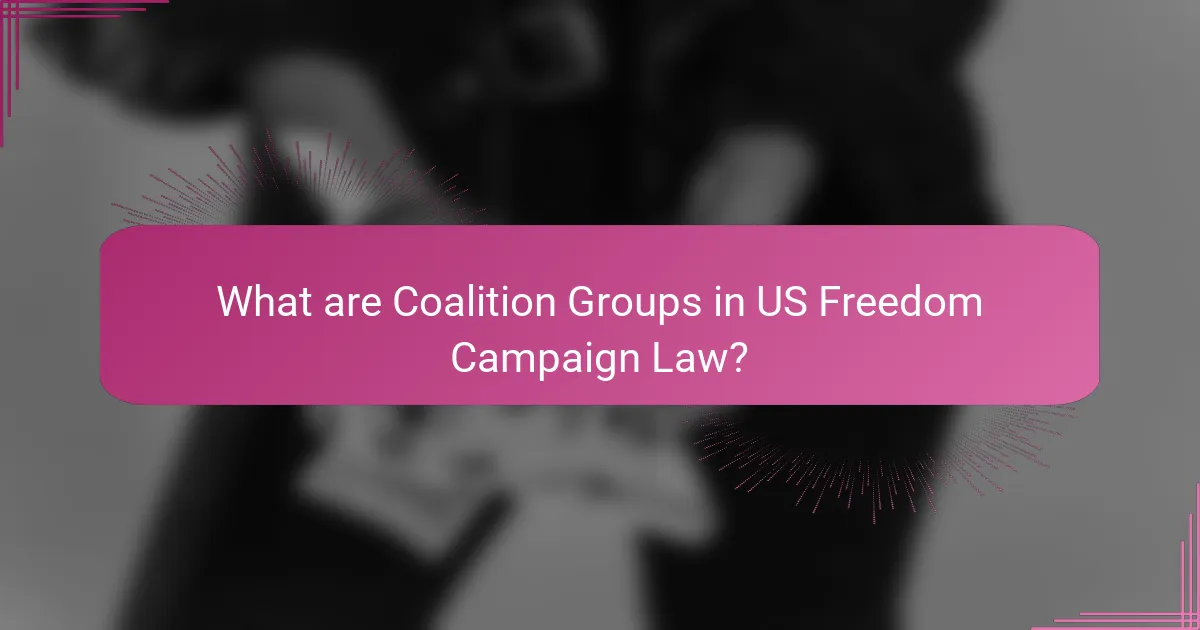 What are Coalition Groups in US Freedom Campaign Law?